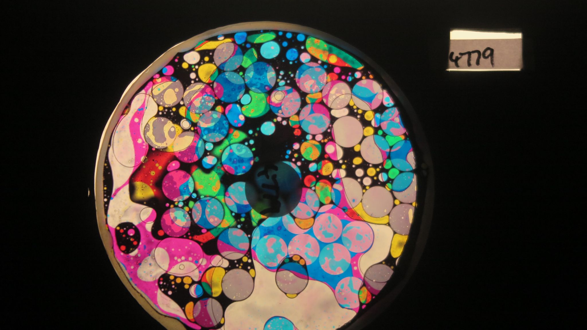 BV4779 bubble vision oil wheel